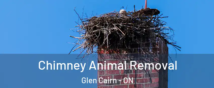 Chimney Animal Removal Glen Cairn - ON