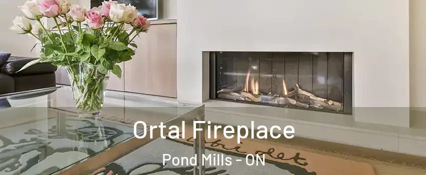 Ortal Fireplace Pond Mills - ON